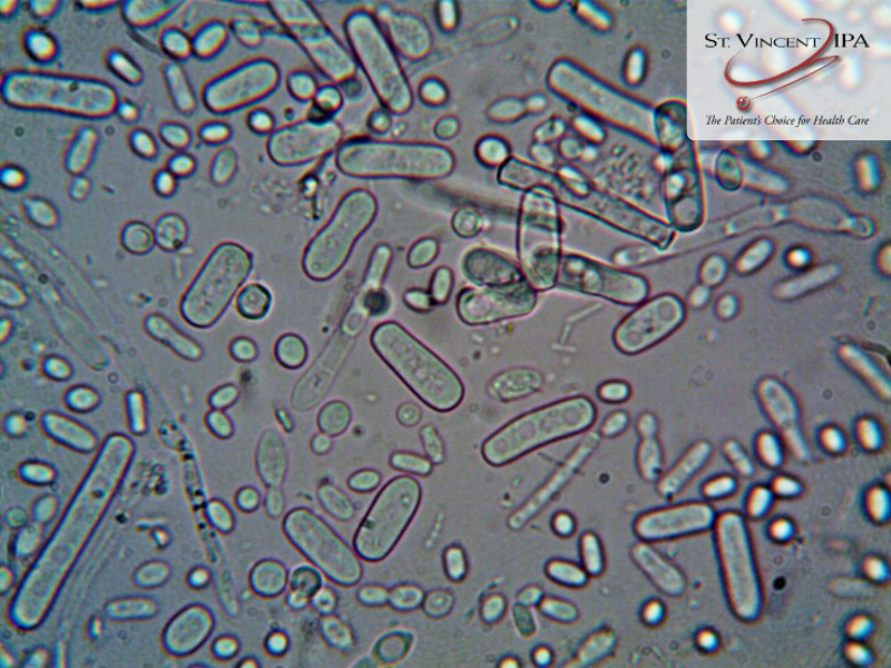 BLOG IMAGE 3, Join the Fight Against Antibiotic Resistant Bacteria Join the Fight Against Antibiotic Resistant Bacteria