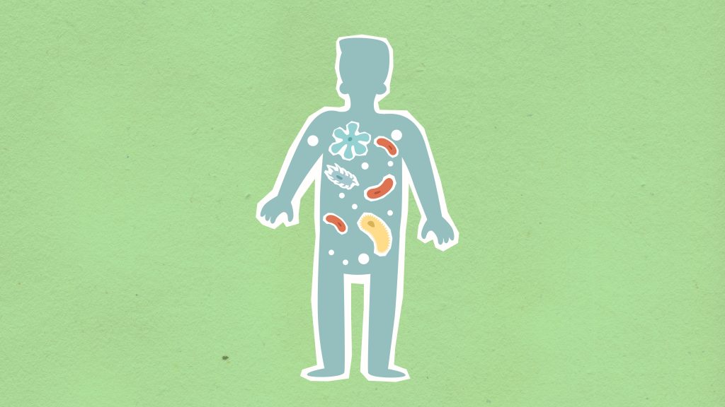 Microbiome, Nourish Your Mind: How Gut Health Shapes our Brain Function and Immunity Nourish Your Mind: How Gut Health Shapes our Brain Function and Immunity